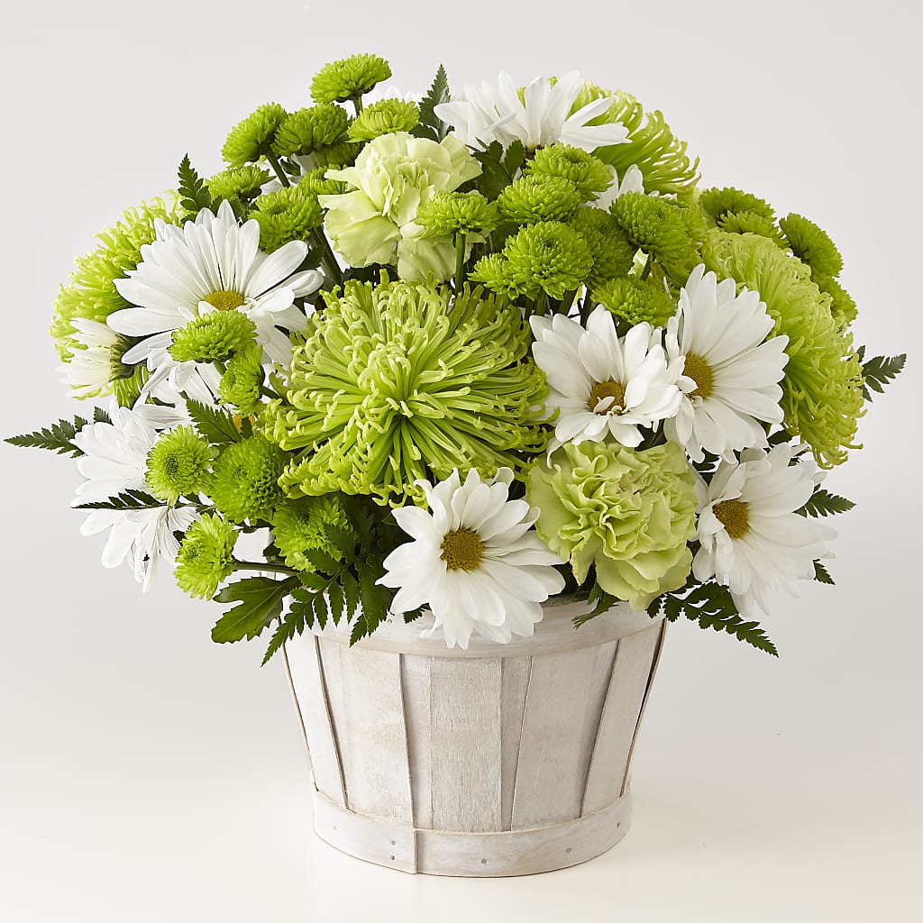 Lucky Charm Basket (Standard) – The Florist Ltd, Denton TX