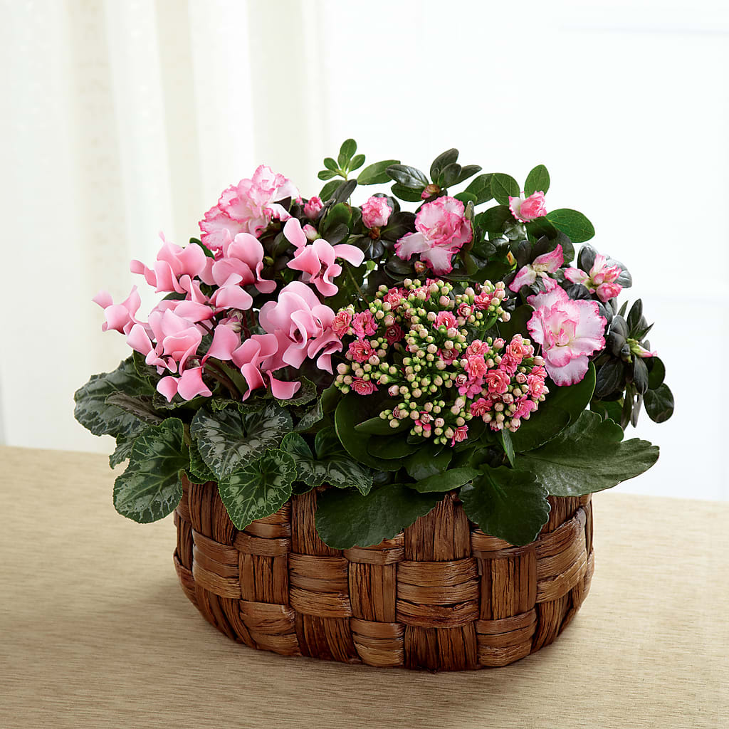 Pink Assortment – The Florist Ltd, Denton TX