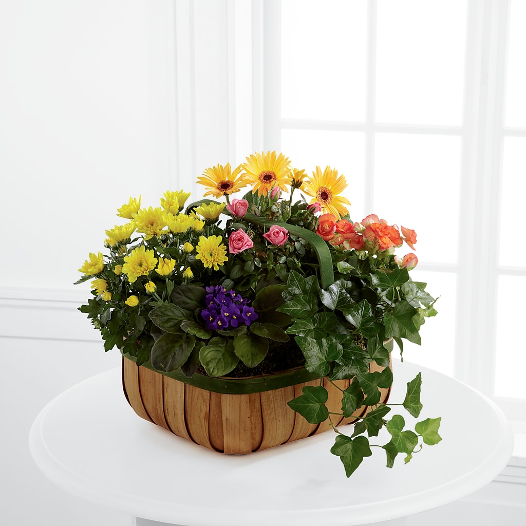 Gentle Blossoms Basket – The Florist Ltd, Denton TX