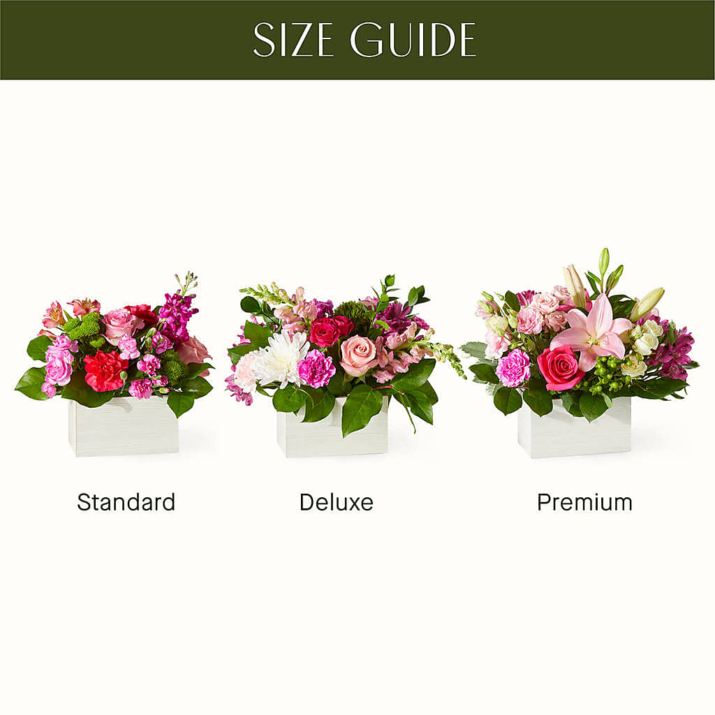 Sweetberry Box – A Florist Original – The Florist Ltd, Denton TX