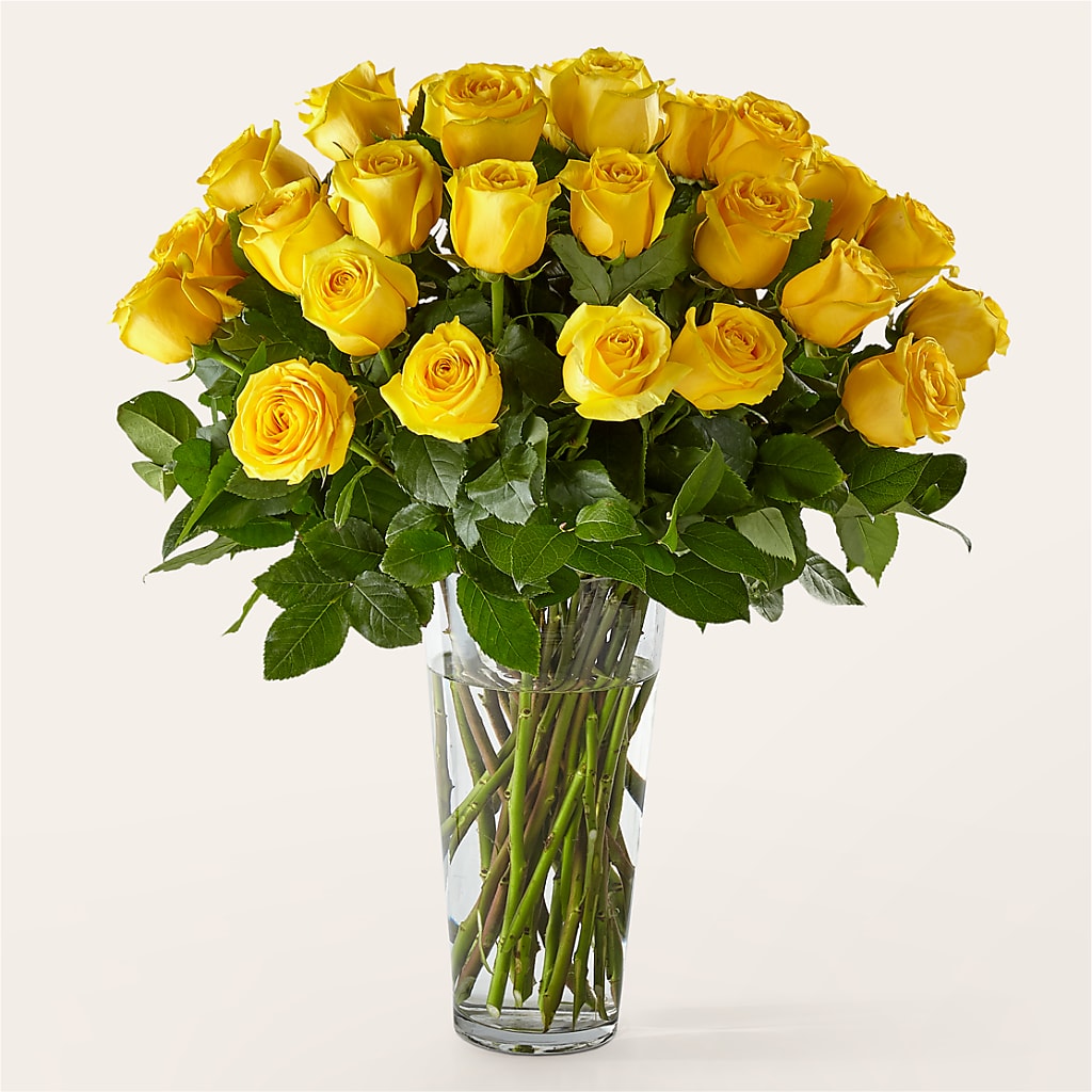 Long Stem Yellow Rose Bouquet – The Florist Ltd, Denton TX