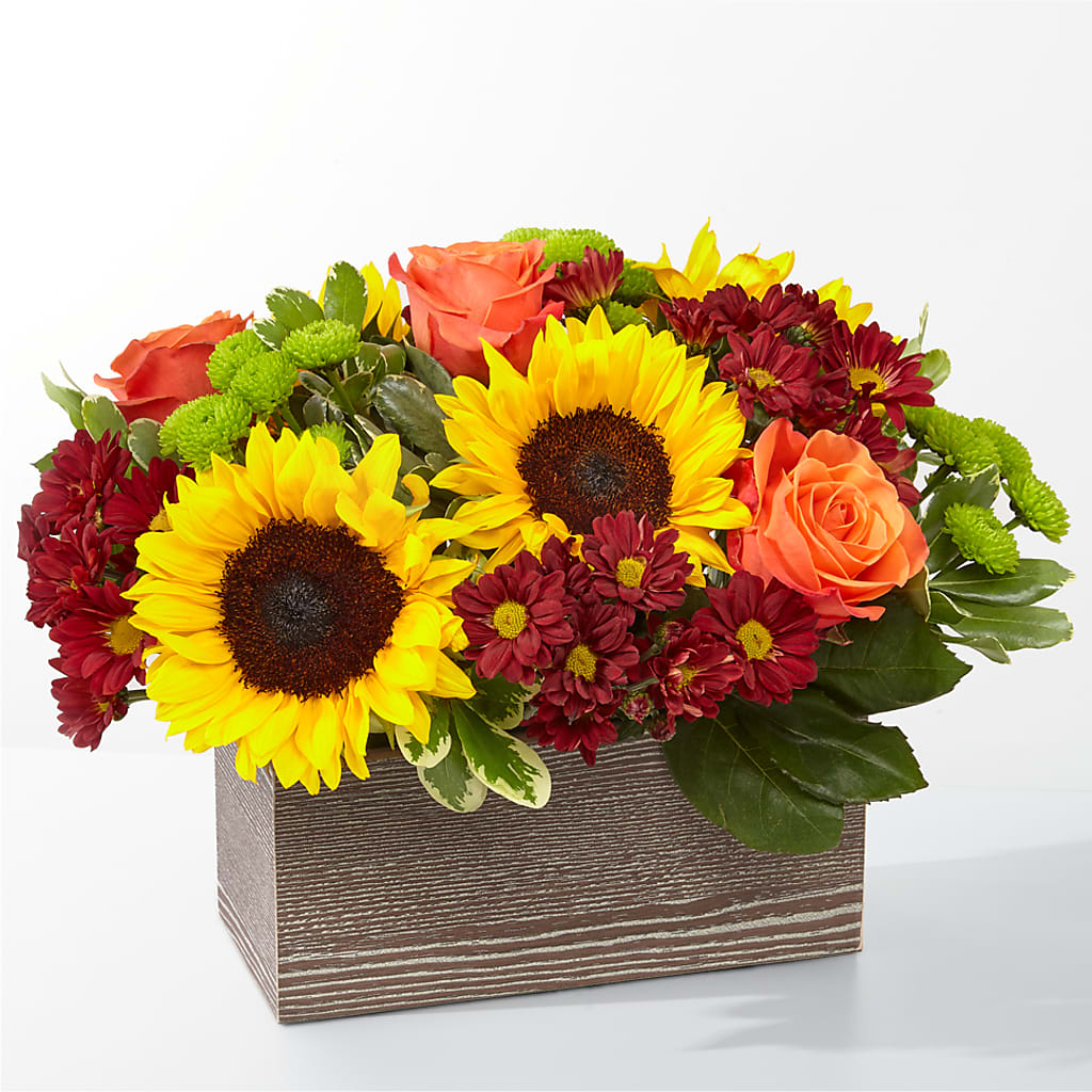 Happy Harvest Garden – The Florist Ltd, Denton TX