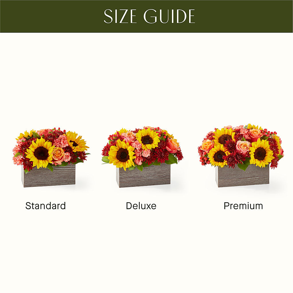 Fresh Cider Bouquet – The Florist Ltd, Denton TX