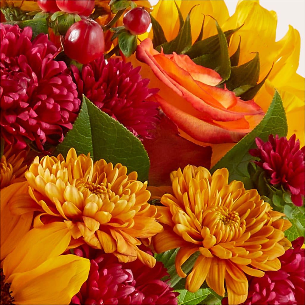 Sweater Season - A Florist Original – The Florist Ltd, Denton TX