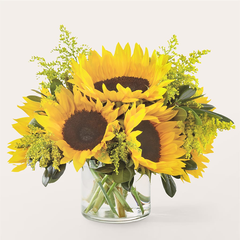 Beaming Sunflower Bouquet – The Florist Ltd, Denton TX