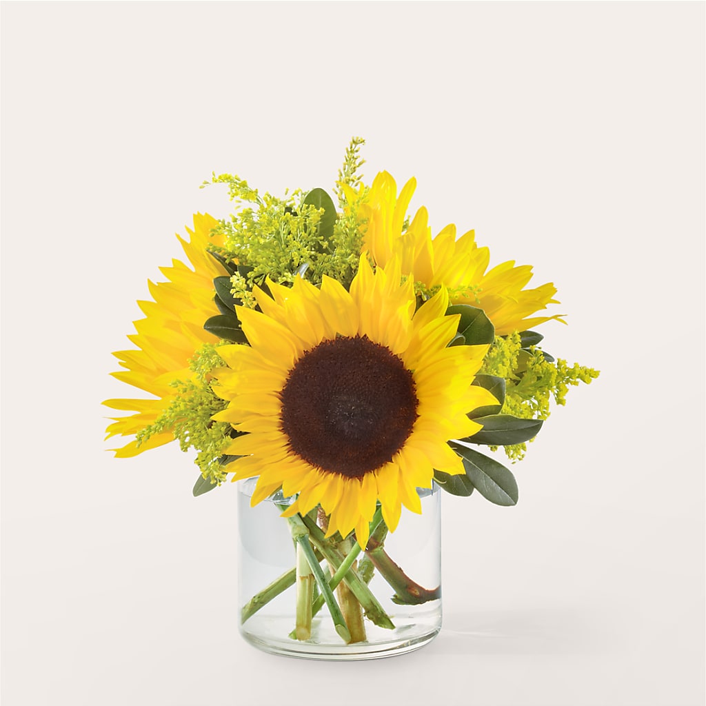 Beaming Sunflower Bouquet – The Florist Ltd, Denton TX