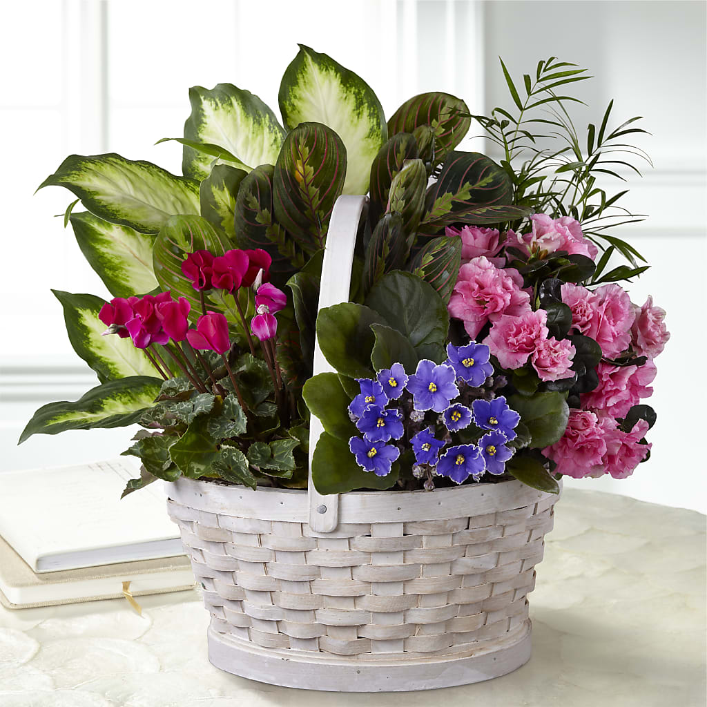 Peaceful Garden Planter – The Florist Ltd, Denton TX