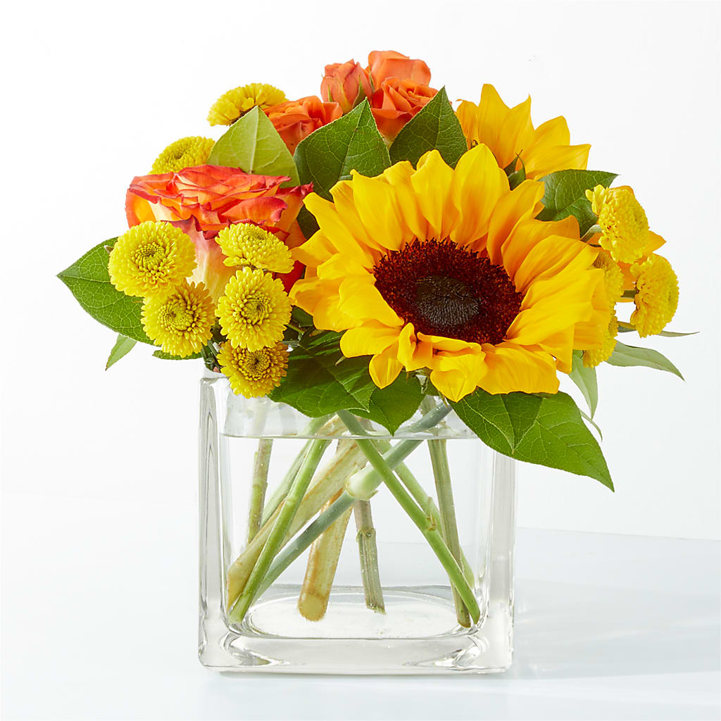 Picnic in the Park Bouquet – The Florist Ltd, Denton TX