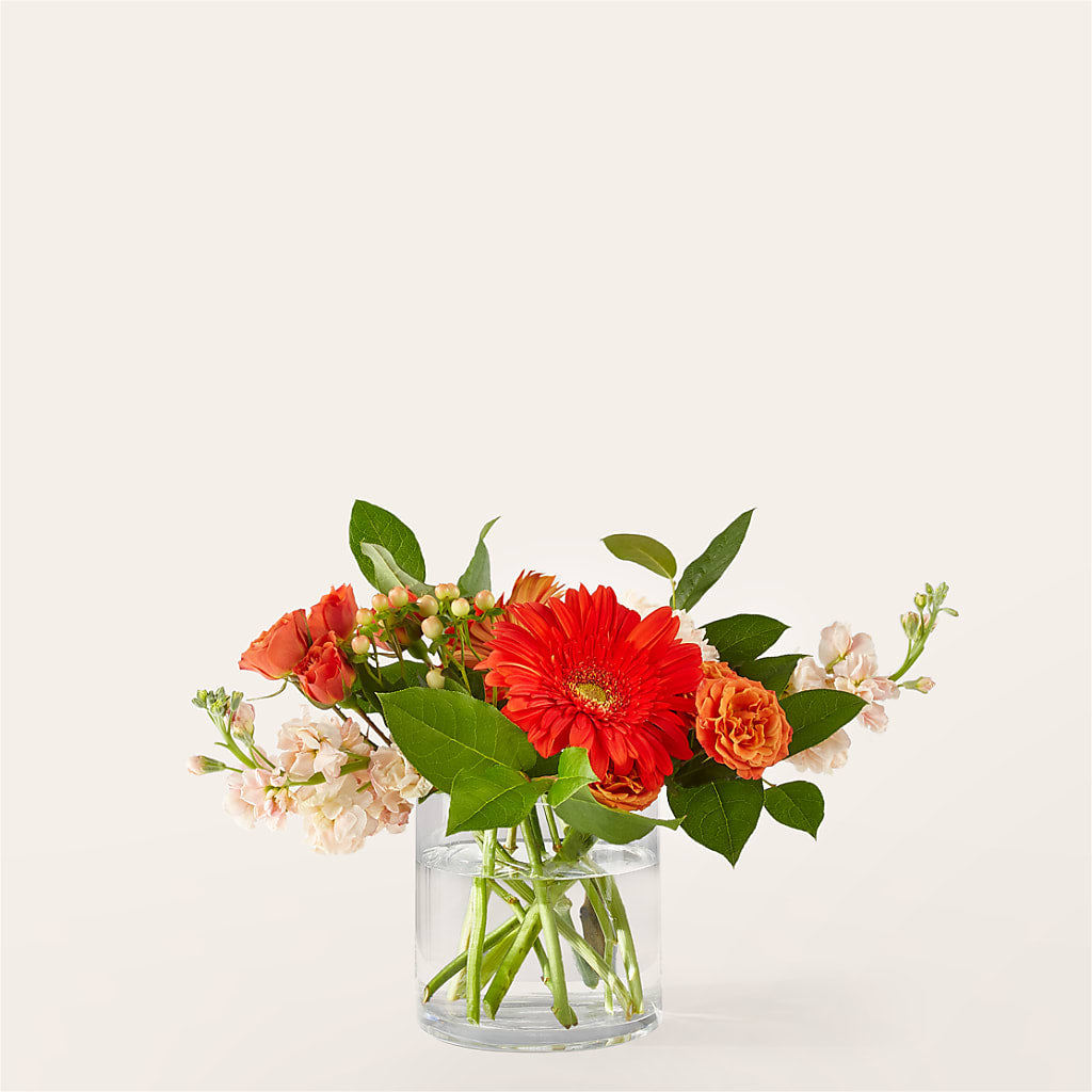 Paloma Please Bouquet – The Florist Ltd, Denton TX