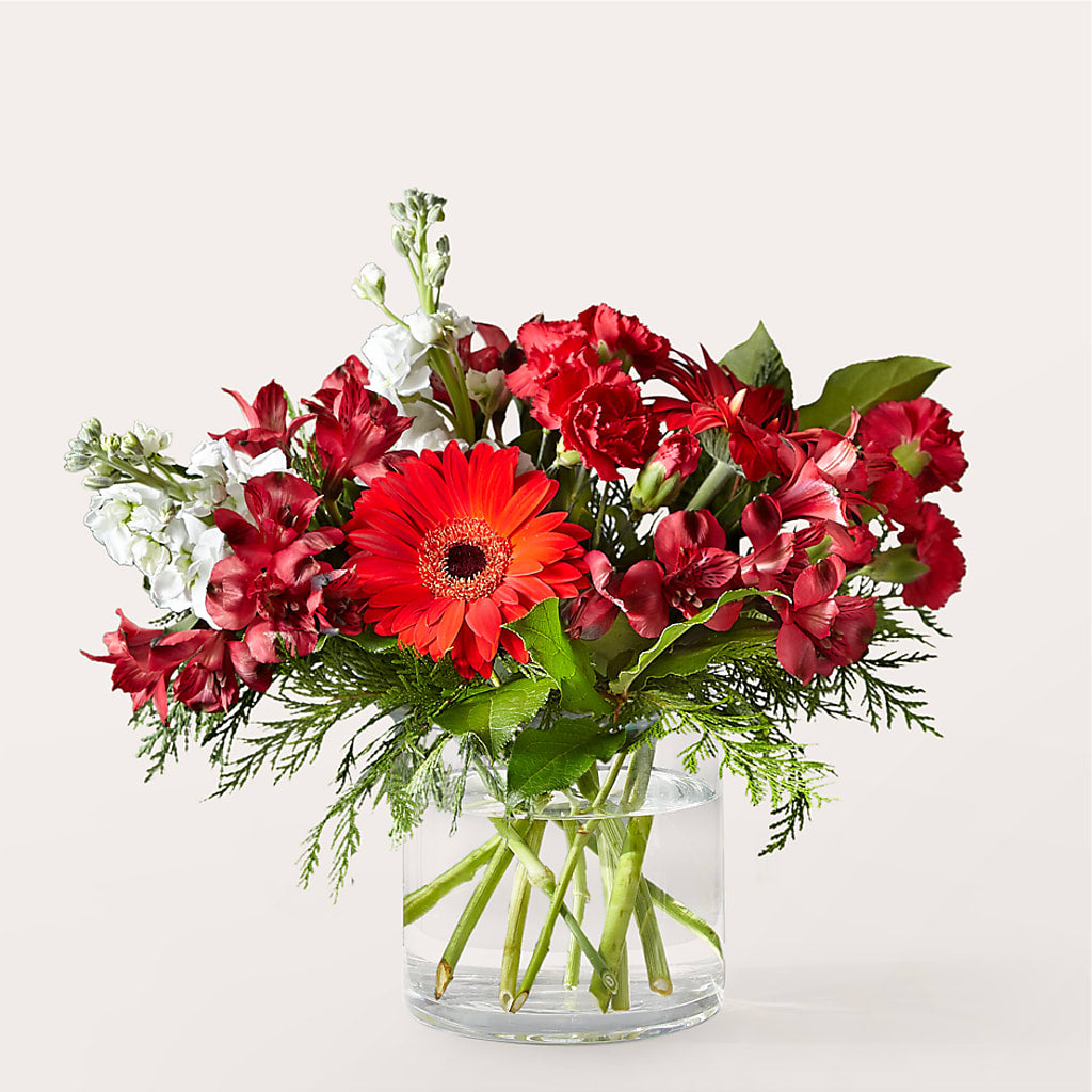 Holidaisy Bouquet – The Florist Ltd, Denton TX