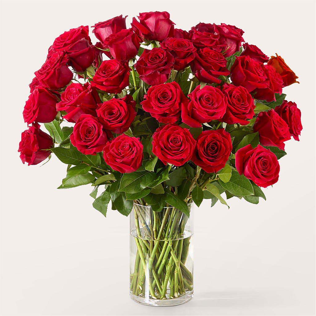 The One Red Rose Bouquet – The Florist Ltd, Denton TX