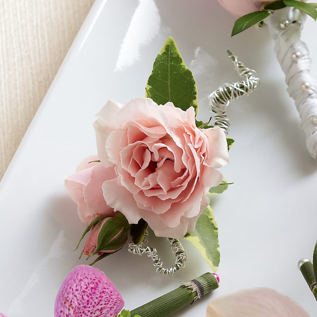 Pink Spray Rose Boutonniere – The Florist Ltd, Denton TX