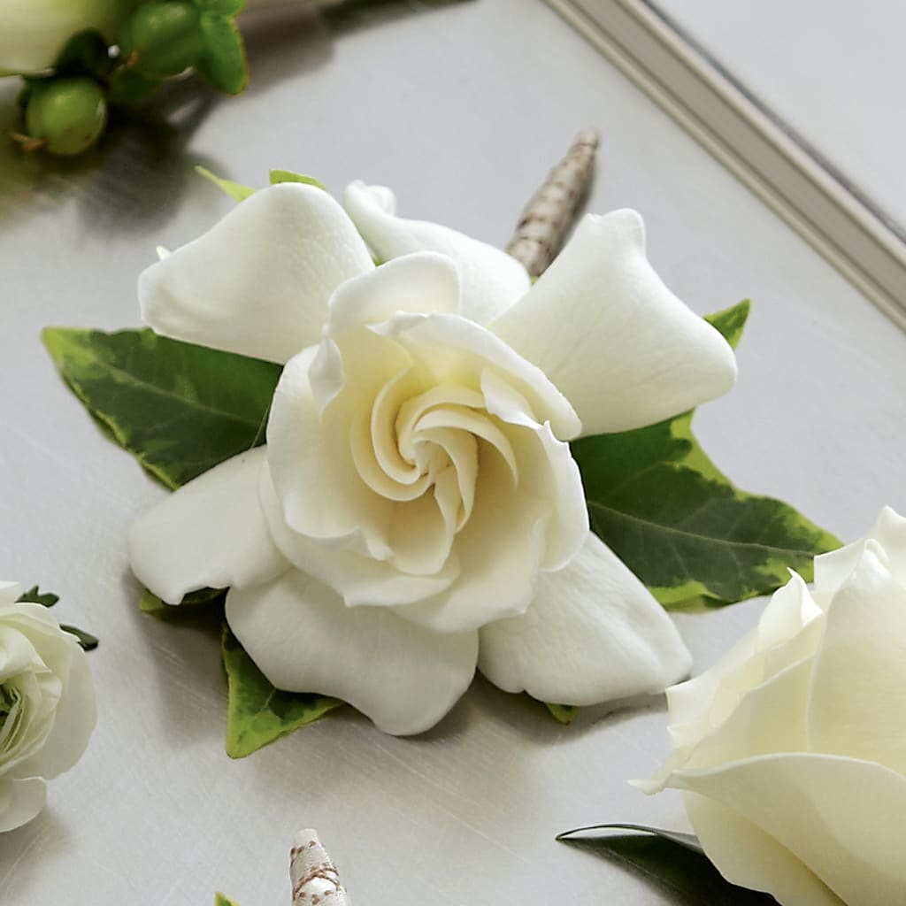 Gardenia Boutonniere – The Florist Ltd, Denton TX