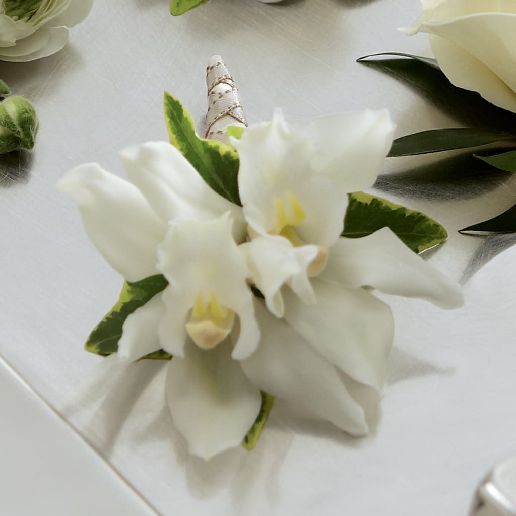 White Mini Cymbidium Boutonniere – The Florist Ltd, Denton TX