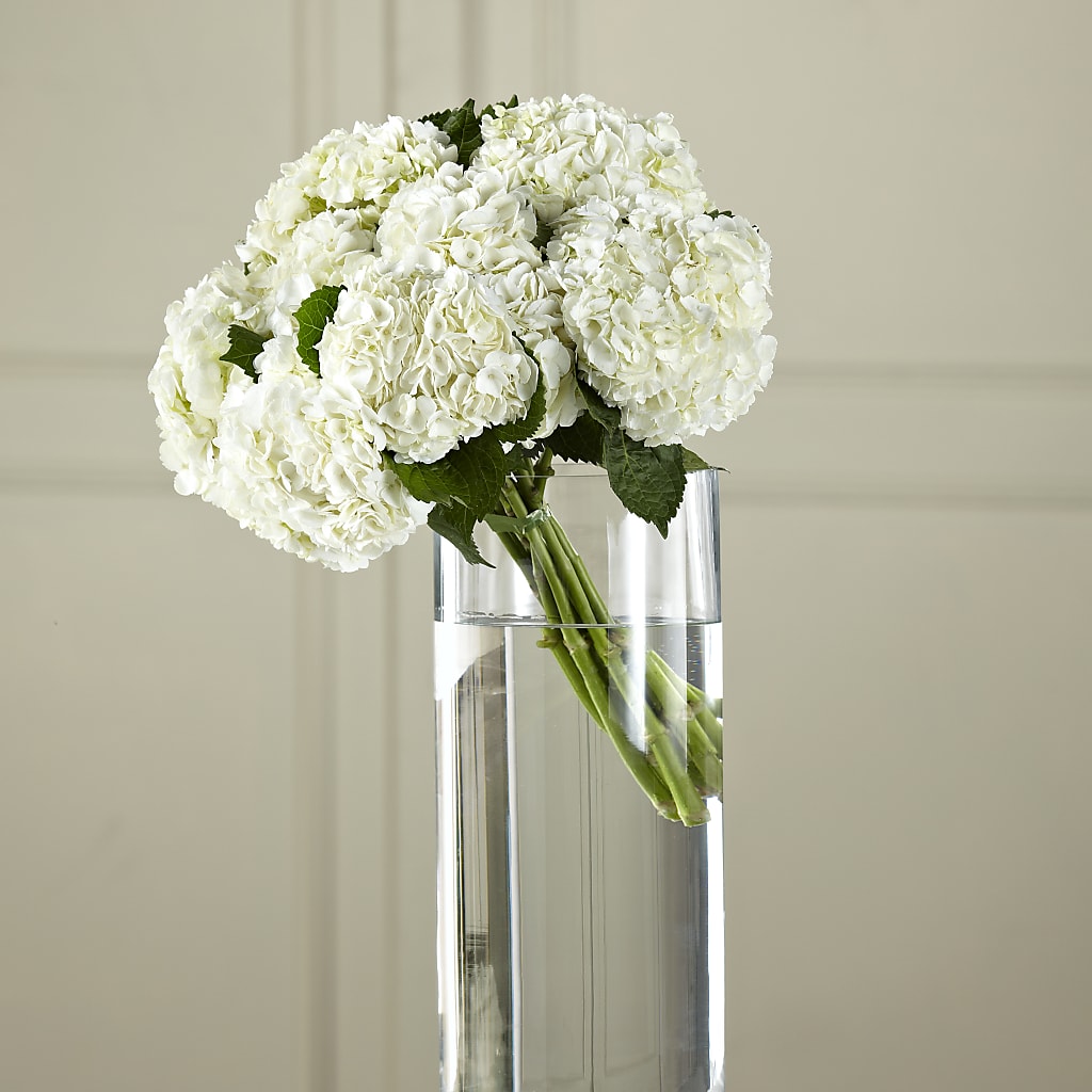 White Hydrangea Hand-Tied Bouquet – The Florist Ltd, Denton TX