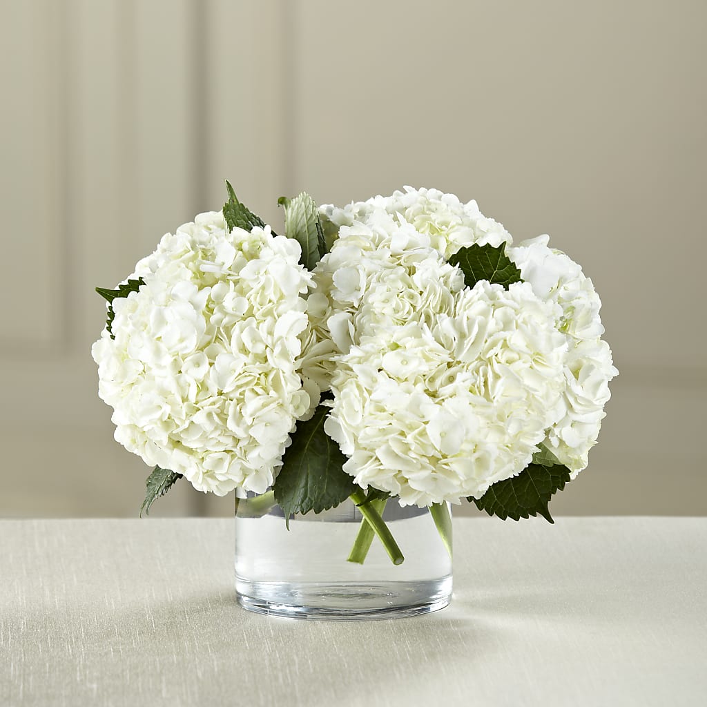 White Hydrangea Bouquet – The Florist Ltd, Denton TX