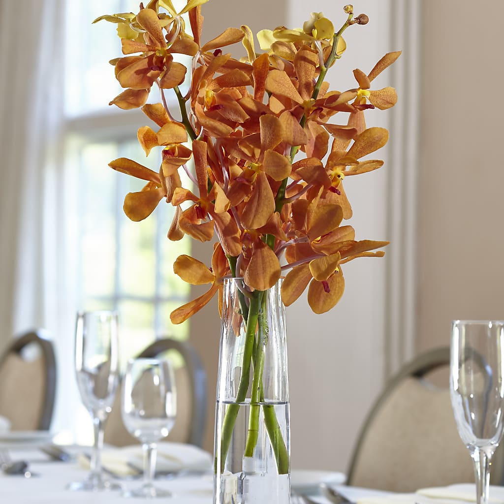 Orange Mokara Bud Vase – The Florist Ltd, Denton TX