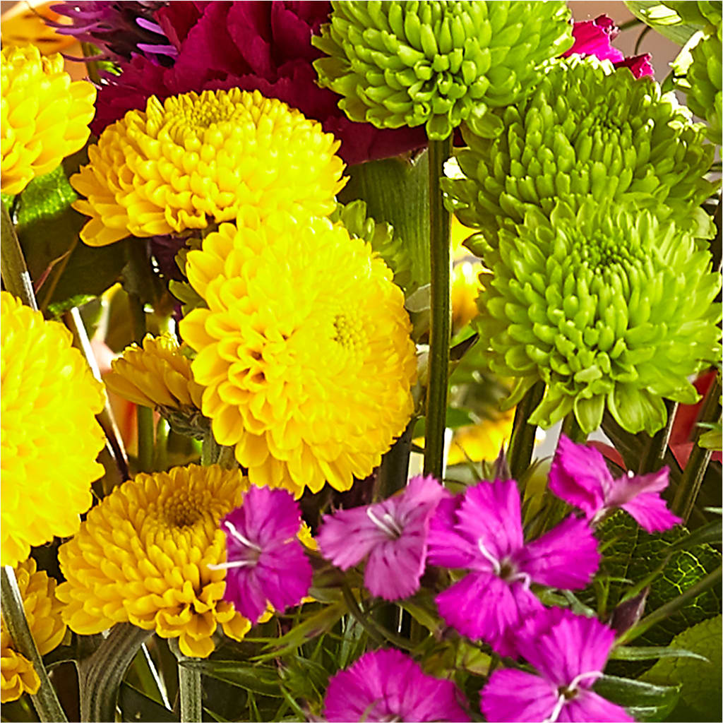 Bold & Bright – A Florist Original –  The Florist Ltd, Denton TX