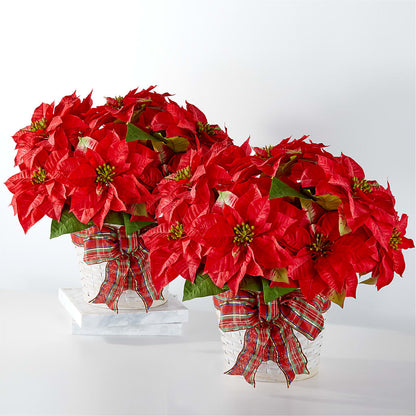 Happiest Holidays Poinsettia Bundle –  The Florist Ltd, Denton TX