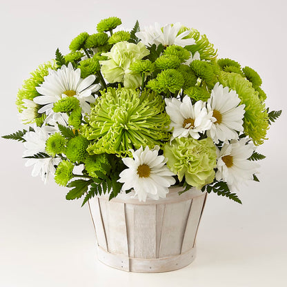 Lucky Charm Basket (Standard) –  The Florist Ltd, Denton TX