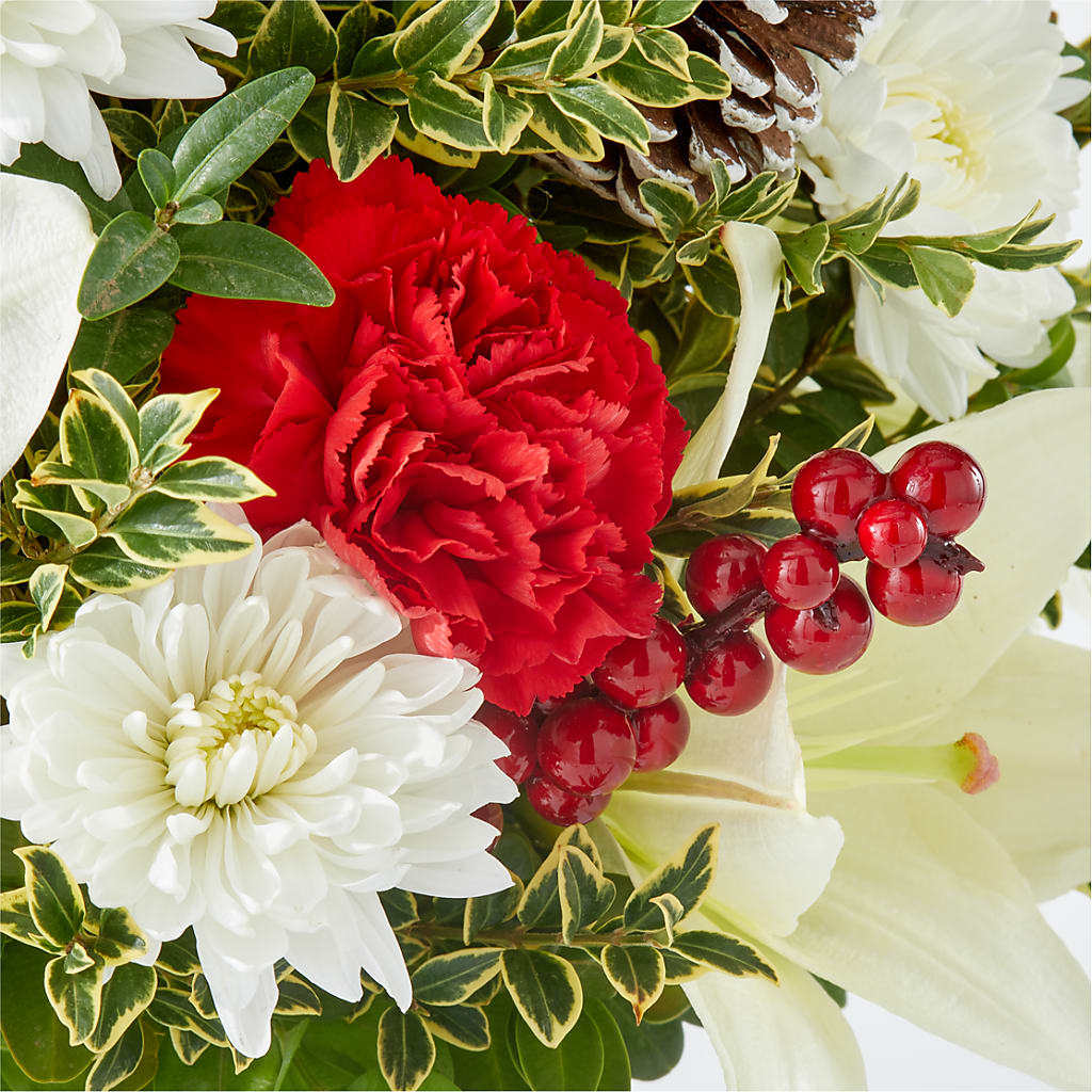 Festive Moments Tree –  The Florist Ltd, Denton TX