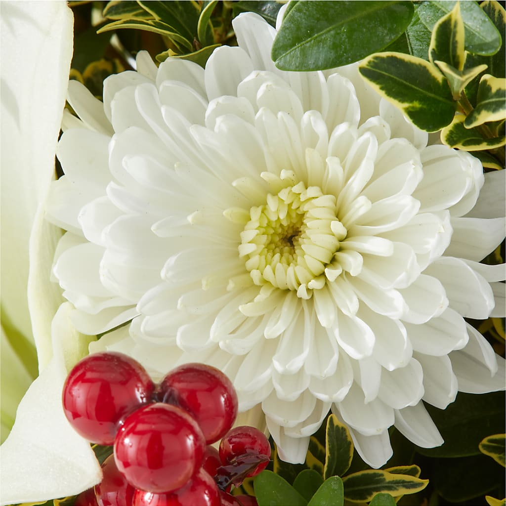 Festive Moments Tree –  The Florist Ltd, Denton TX