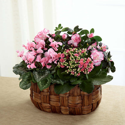 Pink Assortment –  The Florist Ltd, Denton TX