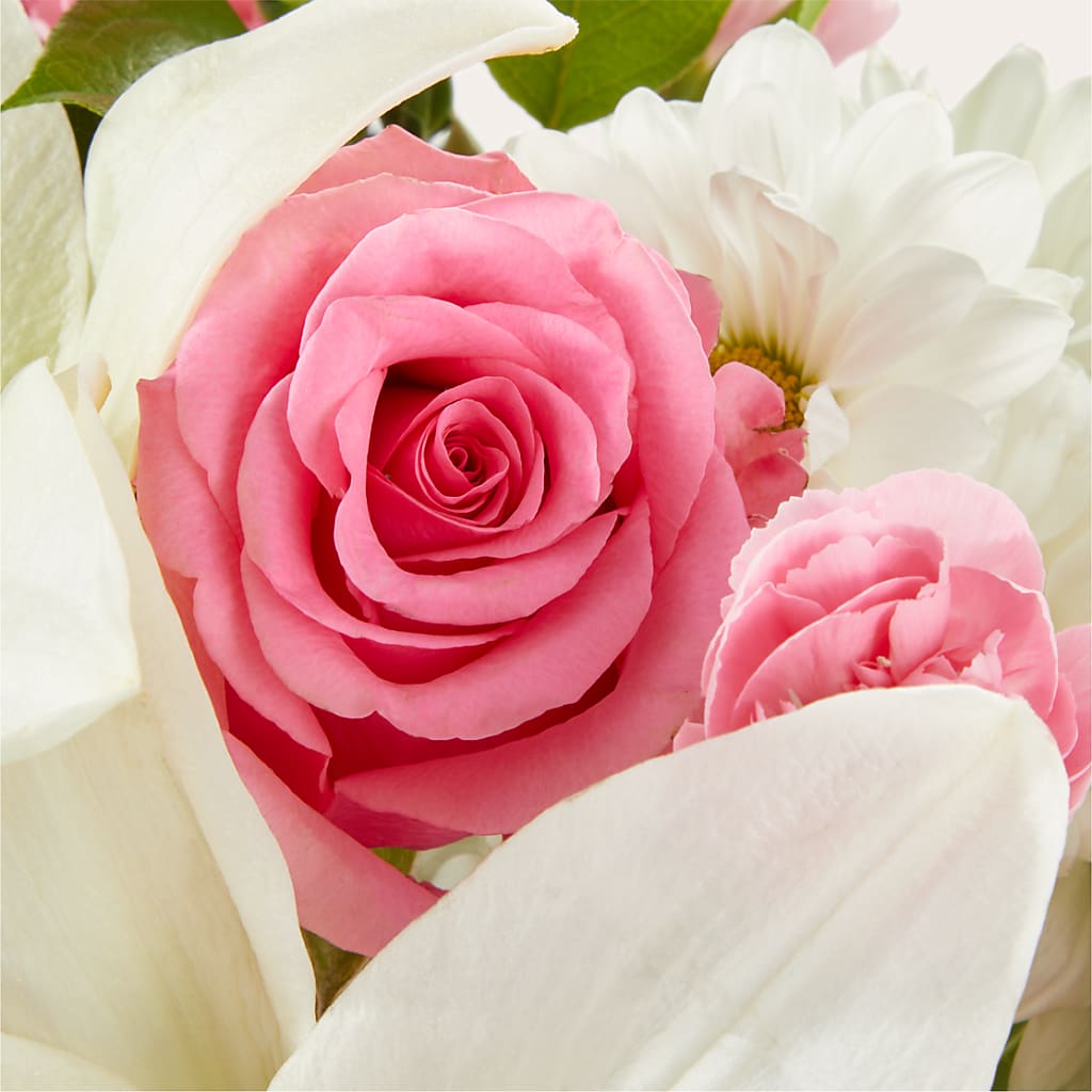 Whispers of Comfort Bouquet –  The Florist Ltd, Denton TX