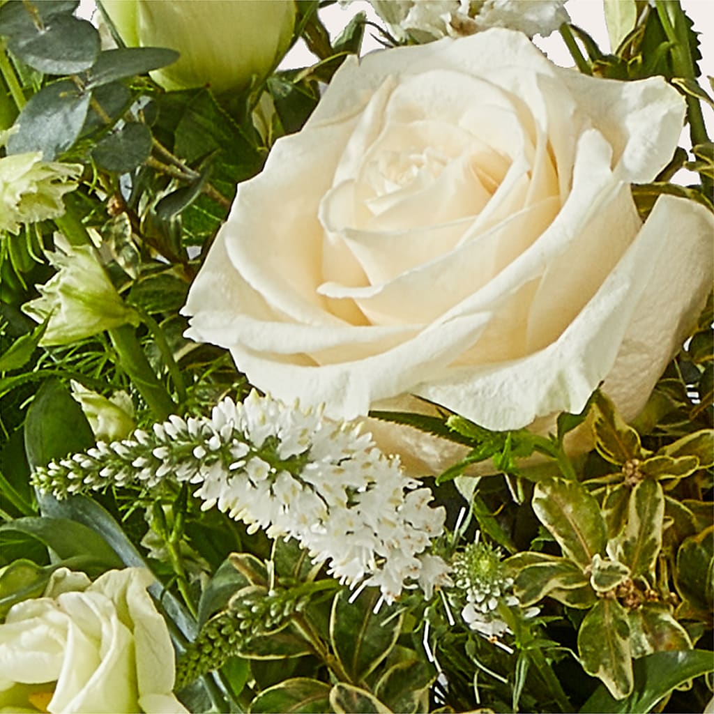 Cashmere Bouquet –  The Florist Ltd, Denton TX