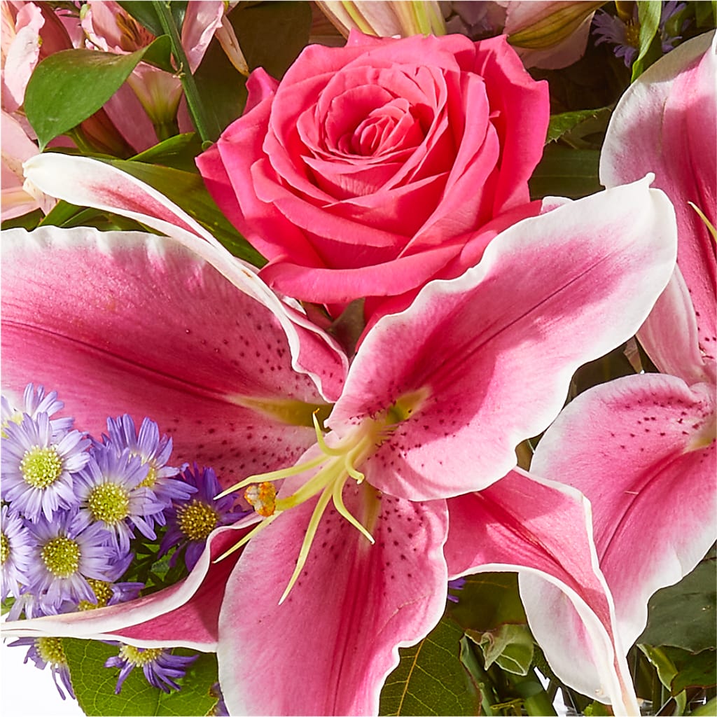 Written in the Stars Bouquet –  The Florist Ltd, Denton TX