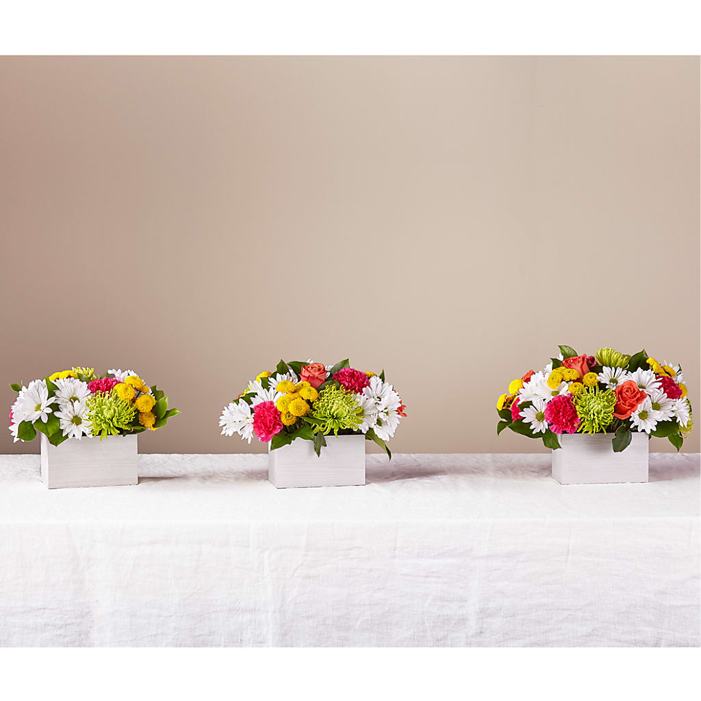 Sorbet Bouquet –  The Florist Ltd, Denton TX