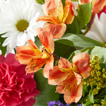 Oopsie Daisy Box Bouquet –  The Florist Ltd, Denton TX