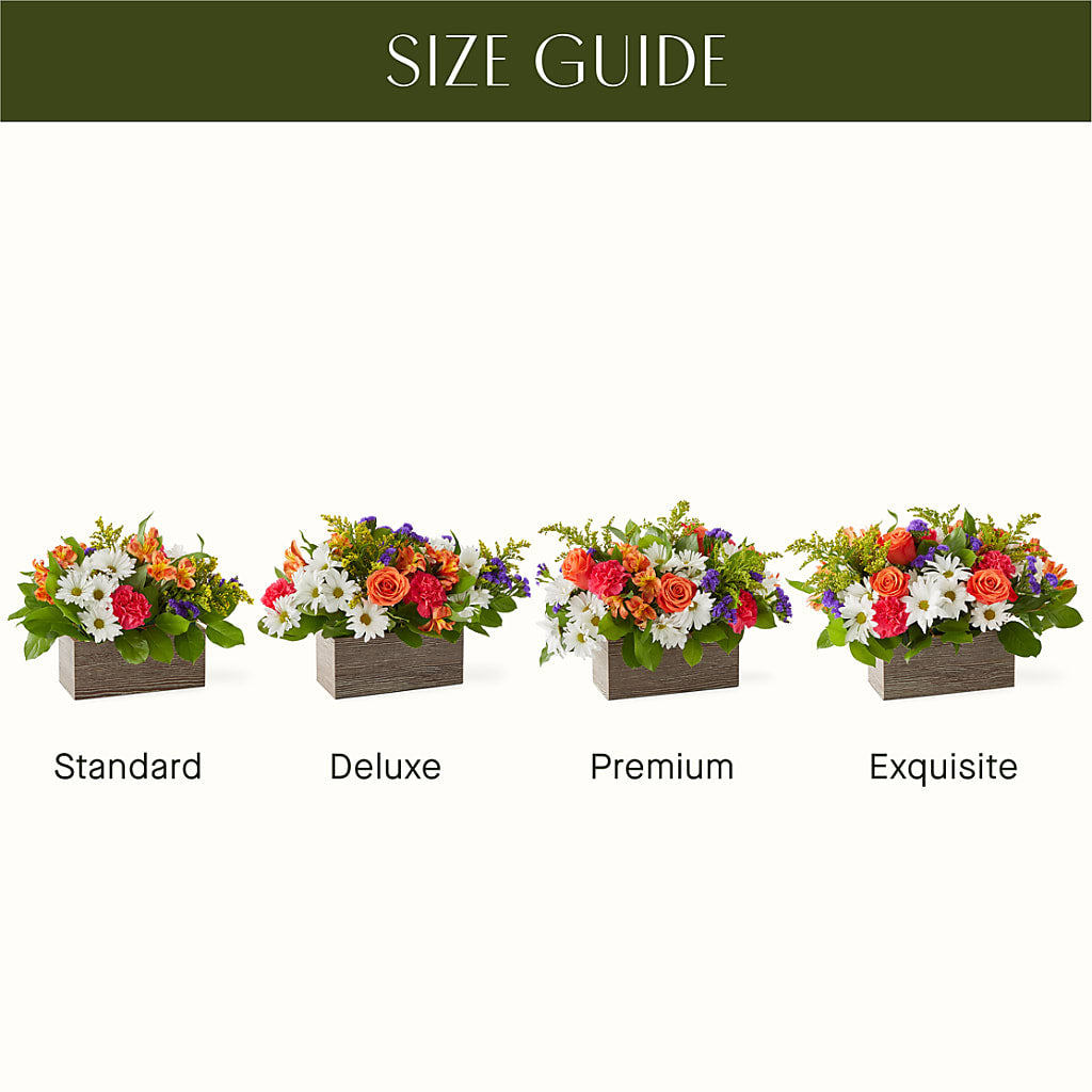 Oopsie Daisy Box Bouquet –  The Florist Ltd, Denton TX