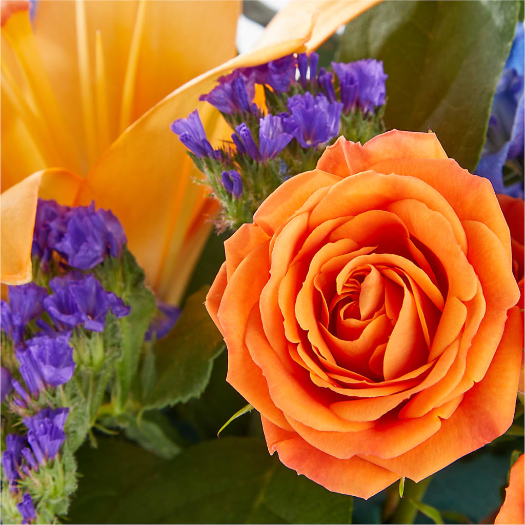 Radiant Citrus Box Bouquet –  The Florist Ltd, Denton TX