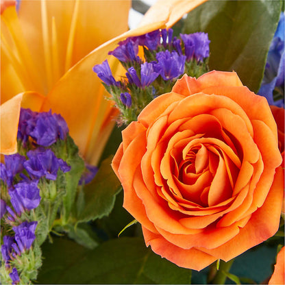 Radiant Citrus Box Bouquet –  The Florist Ltd, Denton TX