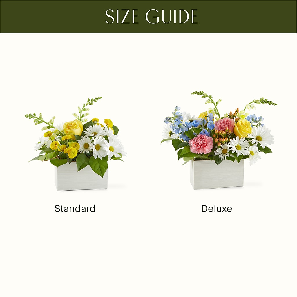 Sun Salutation Box Bouquet –  The Florist Ltd, Denton TX