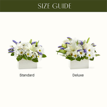 Beyond Blue Box Bouquet –  The Florist Ltd, Denton TX