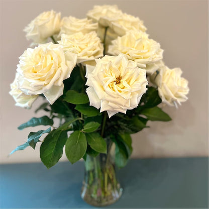 Long Stem Yellow Rose Bouquet –  The Florist Ltd, Denton TX