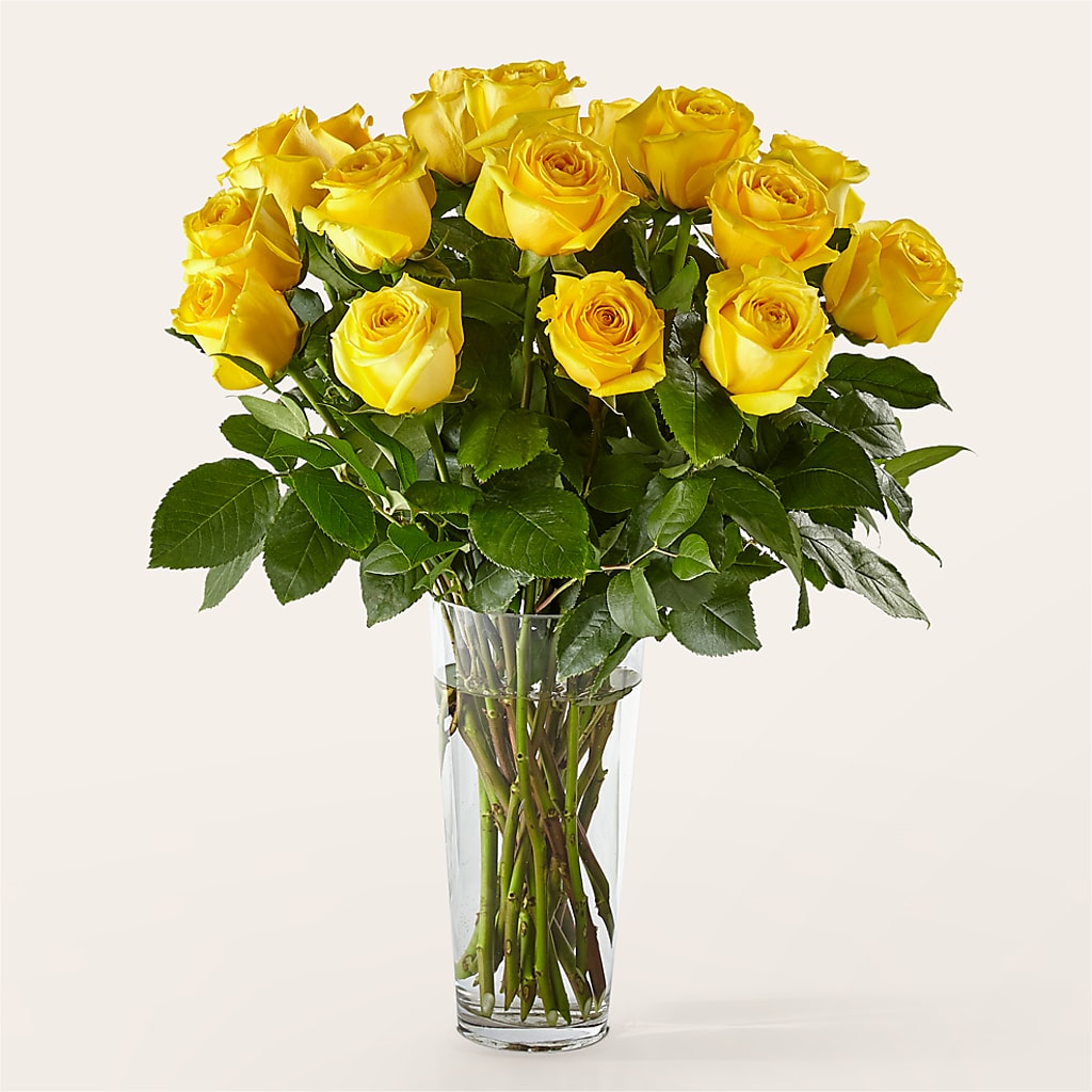 Long Stem Yellow Rose Bouquet –  The Florist Ltd, Denton TX
