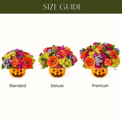 Tricks & Treats Pumpkin –  The Florist Ltd, Denton TX