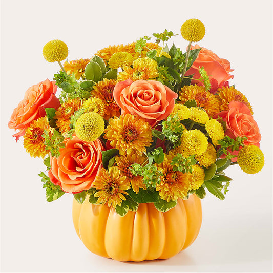 Gourdgeous Pumpkin –  The Florist Ltd, Denton TX
