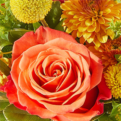 Gourdgeous Pumpkin –  The Florist Ltd, Denton TX