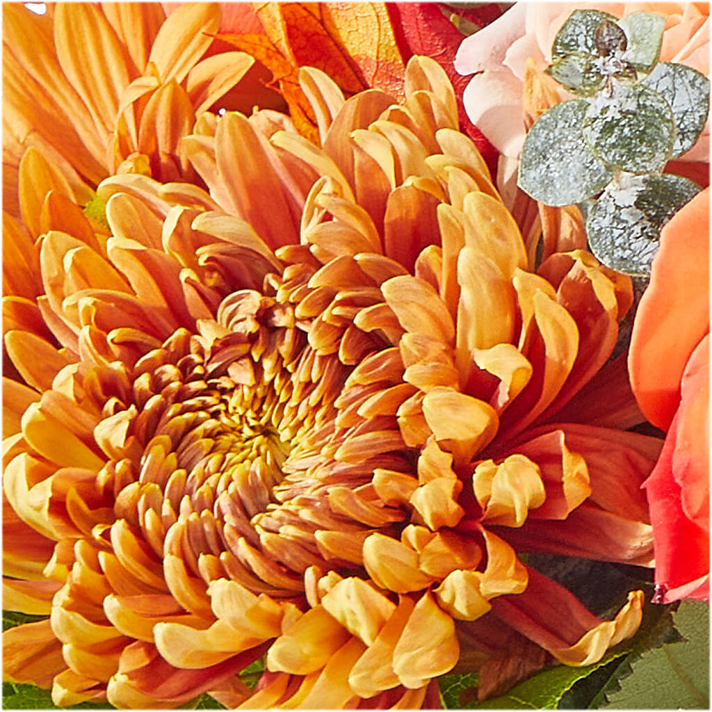 Scenic Route Bouquet –  The Florist Ltd, Denton TX