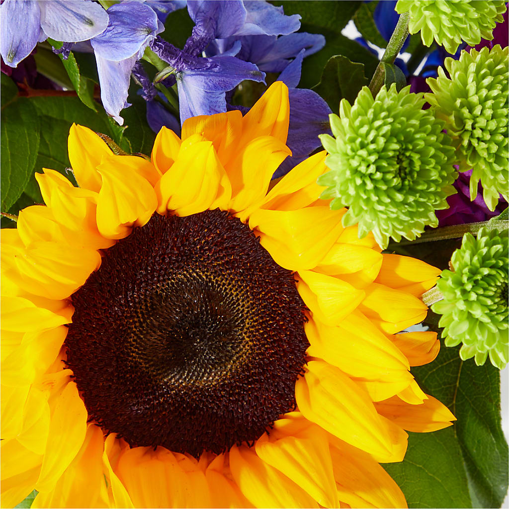 Catching Rays Bouquet –  The Florist Ltd, Denton TX