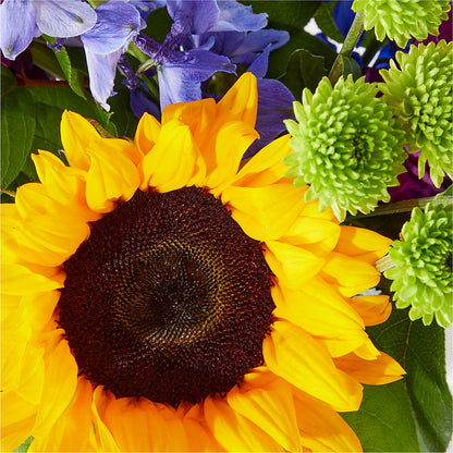 Catching Rays Bouquet –  The Florist Ltd, Denton TX