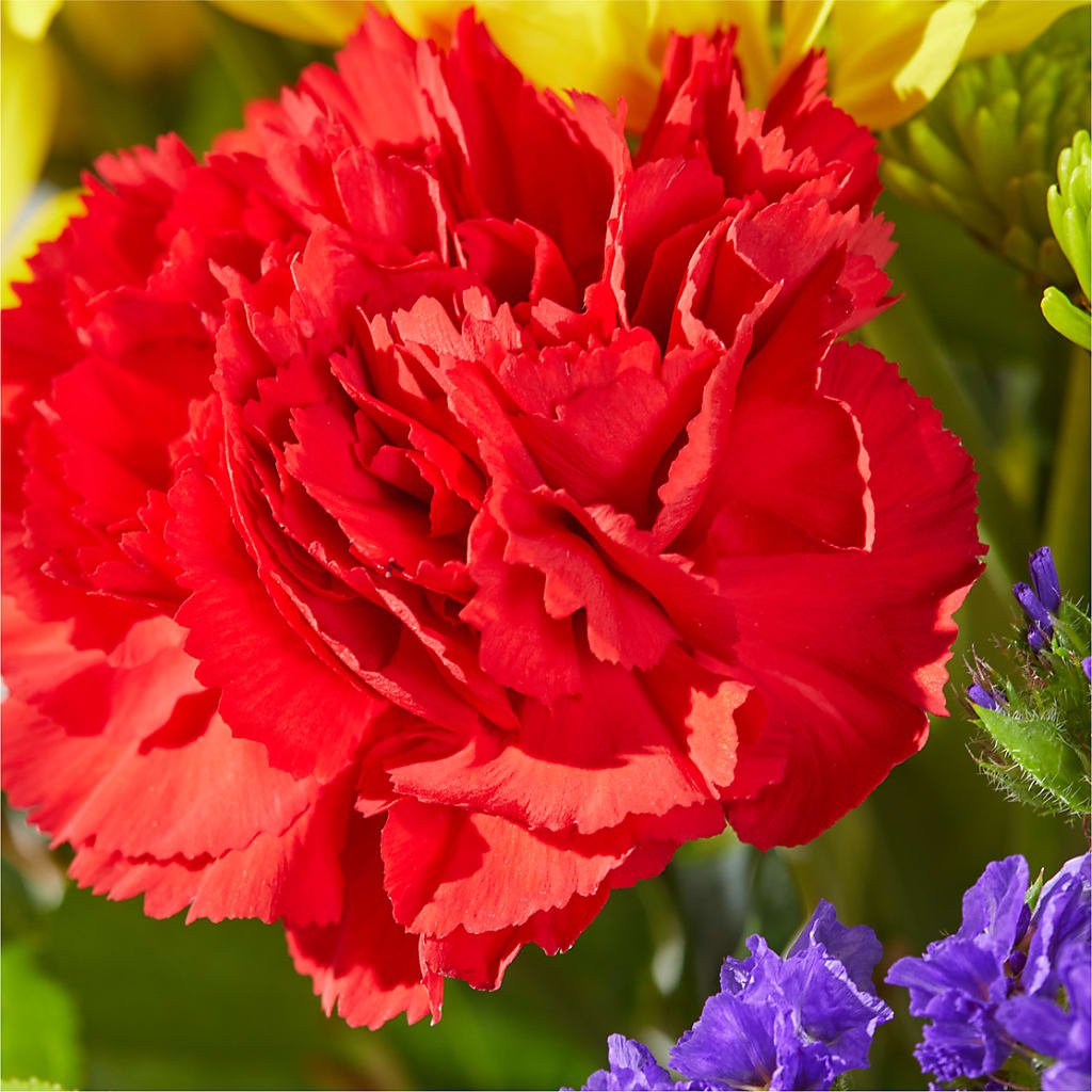 Brighter Days Bouquet –  The Florist Ltd, Denton TX