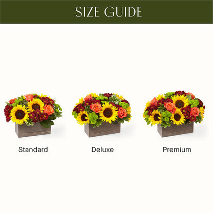 Happy Harvest Garden –  The Florist Ltd, Denton TX