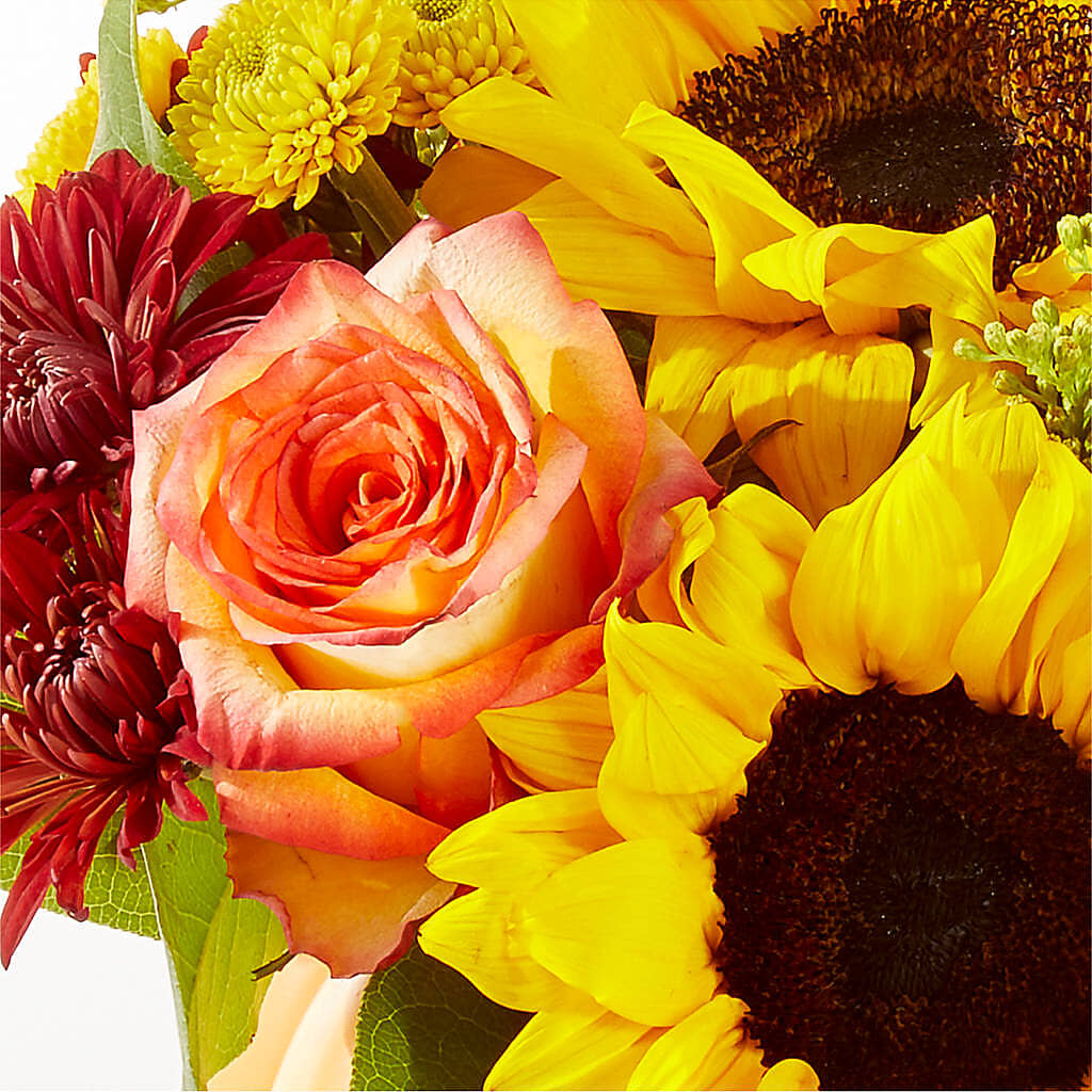 Golden Gourd Pumpkin Bouquet –  The Florist Ltd, Denton TX