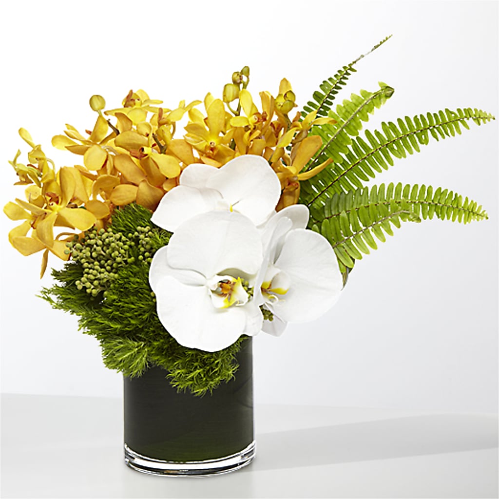 The Tropics –  The Florist Ltd, Denton TX