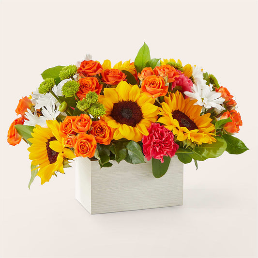 Sun-drenched Blooms Box Bouquet –  The Florist Ltd, Denton TX
